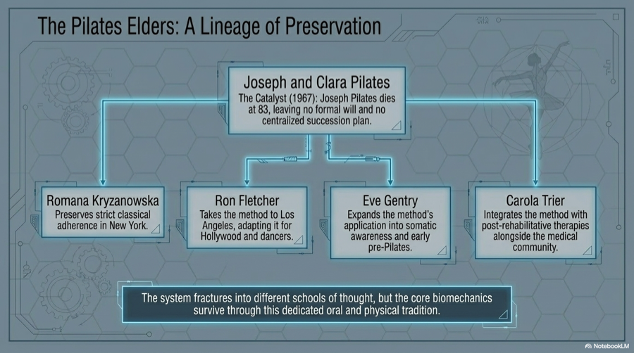 Pilates lineage graphic